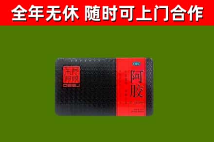 乐安县回收阿胶